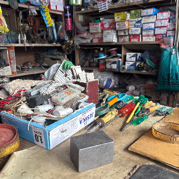 Eelgrass-https://media.vyaparify.com/vcards/products/155190/product_1741080491_67c6c7ab2e979.png Image