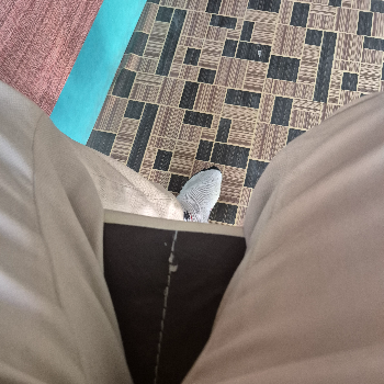 Gst-https://media.vyaparify.com/vcards/products/155379/product_1741085212_67c6da1c8f37a.png Image