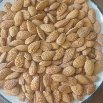  Almond VARUDI TRADERS VARUDI DRYFRUIT 4  PARIVAAR PARK  CORNER NEAR MAYANI CHOWK ARYASAMAJ MAIN ROAD OPP RAMANI MOTOR GARAGE