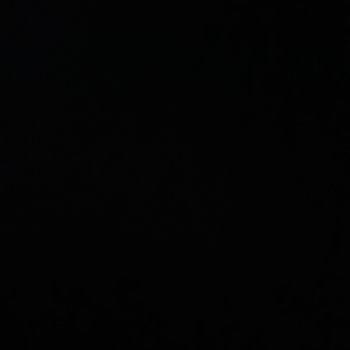 Provision-https://media.vyaparify.com/vcards/products/156281/product_1741162486_67c807f63ccd5.png Image