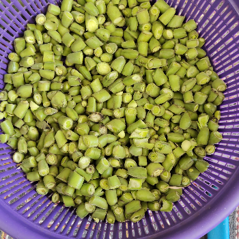 Cooler grass and honey bomb-https://media.vyaparify.com/vcards/products/156480/product_1741172528_67c82f308614b.png Image