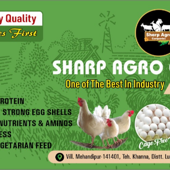  Herbal Eggs 10 SHARP AGRO COMPANIES PO KISHANGARH, OPP. GOVERNMENT PRIMARY SCHOOL Gali Number 1, Khanna, Punjab, 141401