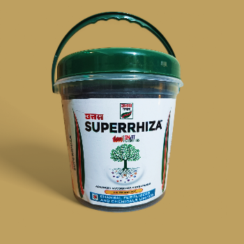 Mycorrhiza-https://media.vyaparify.com/vcards/products/157088/product_1741255845_67c974a545a5c.png Image