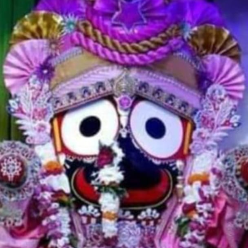 Sugar Pop, ALPS, NYBAE, Dermdoc-https://media.vyaparify.com/vcards/products/157658/product_1741331597_67ca9c8d794fa.png Image