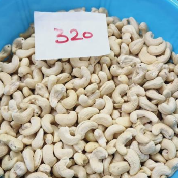  Cashew  Quality 320 1KG SRI RAM CORPORATION Plot No 91 Attapur Hyderabad, Hyderguda Rajendar Nagar, Telangana, 500048