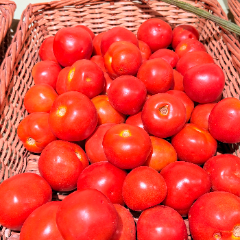 Healthy Farms Store kokapet-https://media.vyaparify.com/vcards/products/160785/product_1741476881_67ccd41138380.png Image