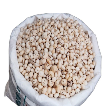 Makhana (Foxnuts)-https://media.vyaparify.com/vcards/products/161527/product_1741617017_67cef779d3862.png Image