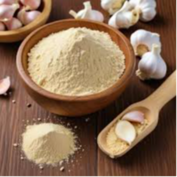  Garlic Powder SEACLAP INTERNATIONAL VMV DHANVANTARI  COLONY BEHIND  HOTEL HERITAGE KITCHEN AMRAVATI 444604 444604