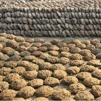 Cow Dung Cake-https://media.vyaparify.com/vcards/products/161550/product_1741618705_67cefe1126179.png Image