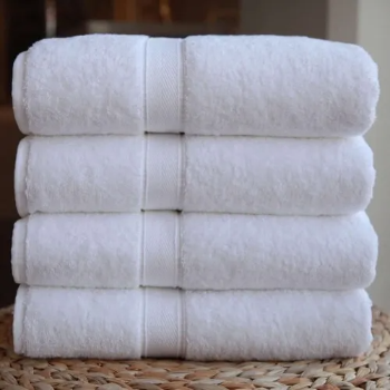Terry Towels-https://media.vyaparify.com/vcards/products/161560/product_1741619936_67cf02e06d0c5.png Image