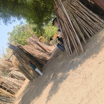 Bambu-https://media.vyaparify.com/vcards/products/163031/product_1741765522_67d13b9295088.png Image