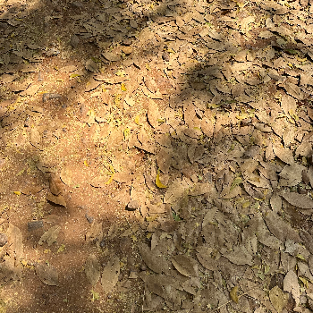 Eggs-https://media.vyaparify.com/vcards/products/163614/product_1741850823_67d288c7d3aa1.png Image