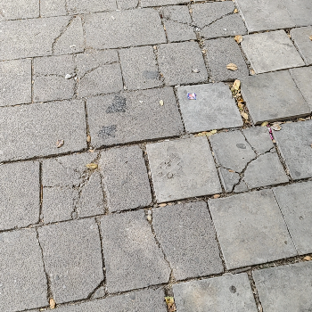 Disposable plate-https://media.vyaparify.com/vcards/products/163658/product_1741853203_67d292130e284.png Image