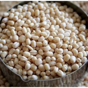  uddi pappu 1KG A MURALI KRISHNA DBA NAME SRI  RAGHAVE NDRA  GENERAL STORE Address 18 366 1 Ward No 18 Beside Sri Markandeya Swamy Temple Market Street Dharmavaram