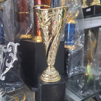 Trophy's-https://media.vyaparify.com/vcards/products/167750/product_1742199664_67d7db709686f.png Image