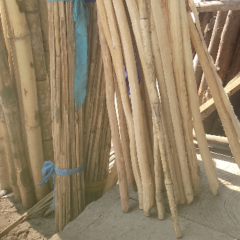Bambo sticks-https://media.vyaparify.com/vcards/products/167755/product_1742200098_67d7dd22437dd.png Image