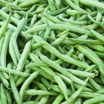 BEANS-https://media.vyaparify.com/vcards/products/168240/product_1742281529_67d91b3901bc3.png Image