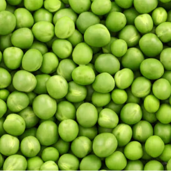 GREEN PEES-https://media.vyaparify.com/vcards/products/168247/product_1742281792_67d91c4007d95.png Image