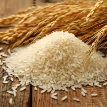 Kurnool rice 1kg-https://media.vyaparify.com/vcards/products/168942/product_1742369505_67da72e1b3426.png Image