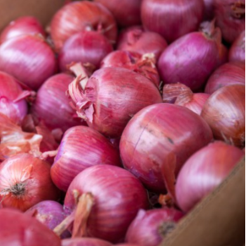 Onion-https://media.vyaparify.com/vcards/products/168949/product_1742370117_67da754580577.png Image