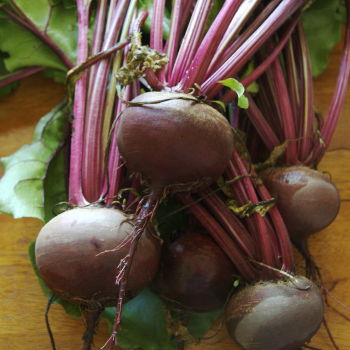 BEETROOT-https://media.vyaparify.com/vcards/products/169037/product_1742376060_67da8c7c6a83e.png Image