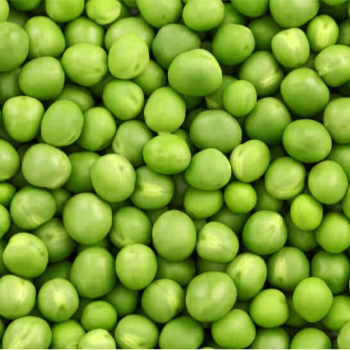 GREEN PEES-https://media.vyaparify.com/vcards/products/169041/product_1742376169_67da8ce980c38.png Image