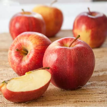  Apple RAJESH BHAGWAT MAHAJAN New Sai Darshan  Anturli Rod  Anturli Near Sudeep Bear Baar Samor Anturli