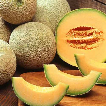 Muskmelon-https://media.vyaparify.com/vcards/products/170072/product_1742465725_67dbeabd2cefa.png Image