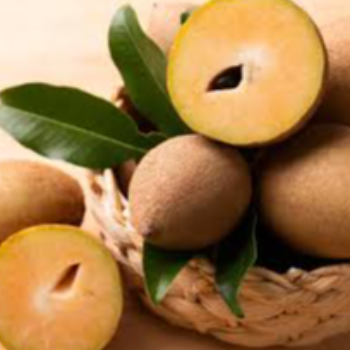 Chickoo-https://media.vyaparify.com/vcards/products/170081/product_1742465965_67dbebad63bf1.png Image