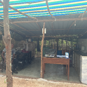 Farm Fresh Chicken Shop-https://media.vyaparify.com/vcards/products/170403/product_1742539159_67dd0997ed366.png Image