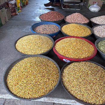 No name-https://media.vyaparify.com/vcards/products/170411/product_1742539599_67dd0b4f14922.png Image