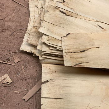 Play wood-https://media.vyaparify.com/vcards/products/170529/product_1742549503_67dd31ff51562.png Image