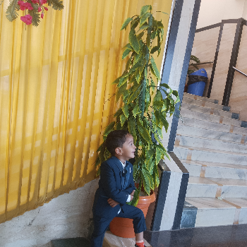 Sugar-https://media.vyaparify.com/vcards/products/171948/product_1742807267_67e120e36c212.png Image