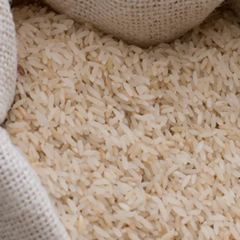 HMT new rice 26KG-https://media.vyaparify.com/vcards/products/172235/product_1742879832_67e23c582e5df.png Image