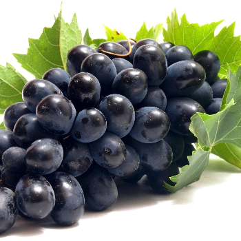 BLACK GRAPES-https://media.vyaparify.com/vcards/products/173256/product_1742967830_67e39416e4e3c.png Image