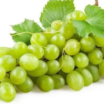GREEN GRAPES-https://media.vyaparify.com/vcards/products/173261/product_1742968043_67e394eb9a44a.png Image