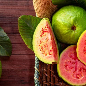 GUAVA-https://media.vyaparify.com/vcards/products/173268/product_1742968555_67e396eb3ee8f.png Image