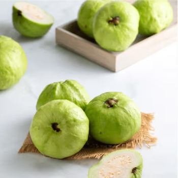GUAVA-https://media.vyaparify.com/vcards/products/173269/product_1742968555_67e396eb68d11.png Image