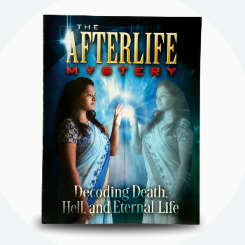  The Afterlife Mystery TRIBE AFTER TRIBE C O  Tribeaftertribe  Supermaket NR Nayara Petrol Pump