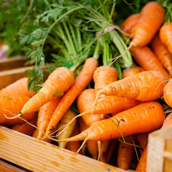 CARROT KG-https://media.vyaparify.com/vcards/products/178702/product_1743590574_67ed14aeec64f.png Image