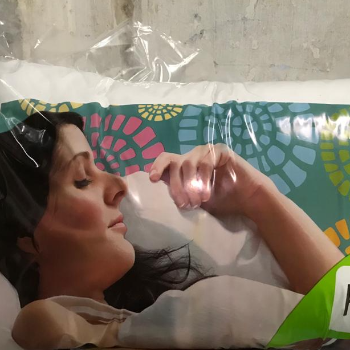 recron Fiber Certified Utsav 16"x 24" Pillow (40 cm x 60 cm, Standard, White) -Pack of 2-https://media.vyaparify.com/vcards/products/179534/product_1743750920_67ef8708c3481.png Image