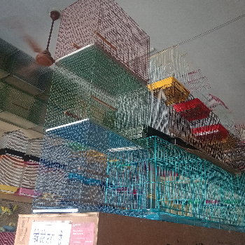 Pet shop-https://media.vyaparify.com/vcards/products/182427/product_1743833220_67f0c884a377d.png Image