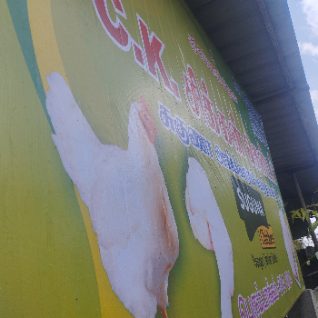 CK CHICKEN CENTER-https://media.vyaparify.com/vcards/products/183935/product_1744091946_67f4bb2a4360f.png Image