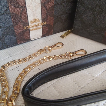 COACH cross body bag (black)-https://media.vyaparify.com/vcards/products/184535/product_1744188367_67f633cf92047.png Image