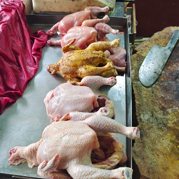 Chicken-https://media.vyaparify.com/vcards/products/184704/product_1744198405_67f65b058ed17.png Image