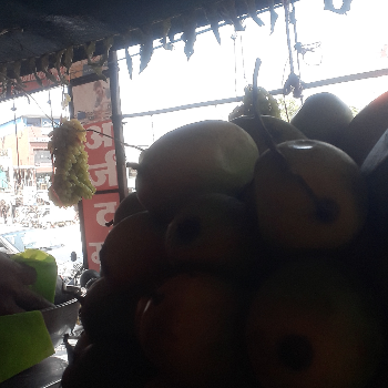 Mango-https://media.vyaparify.com/vcards/products/185901/product_1744362479_67f8dbef55dcc.png Image