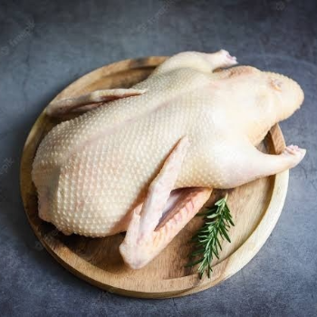  VAATHU KARI KANIMOZHI D KS CHICKEN NO 152  PALAVERKADU ROAD  CHINNAKAVANAM PONNERI Near RIVER BRIDGE