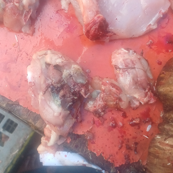 Chiken-https://media.vyaparify.com/vcards/products/189929/product_1744805045_67ff9cb5e1cb1.png Image