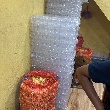  Gee BISWAJIT GHOSH PARBATI GHEE  C O BISWAJIT GHOSH  Fulia Railbazer Fulia Santipur Nadia Near Tiket Counter 