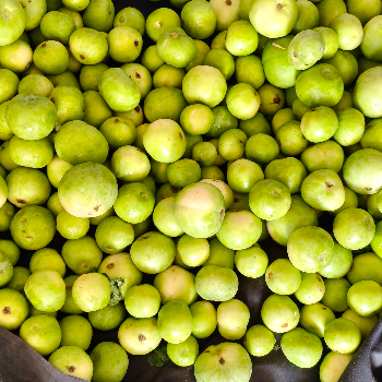 Shri balaji vegetables and fruit company-https://media.vyaparify.com/vcards/products/212431/product_1746420560_681843502f16f.png Image